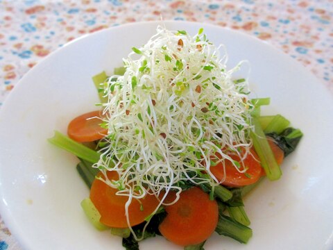 小松菜とにんじんのオイル煮とアルファルファのサラダ